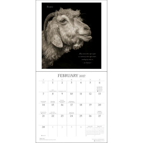 I am GOAT 2027 Wall Calendar