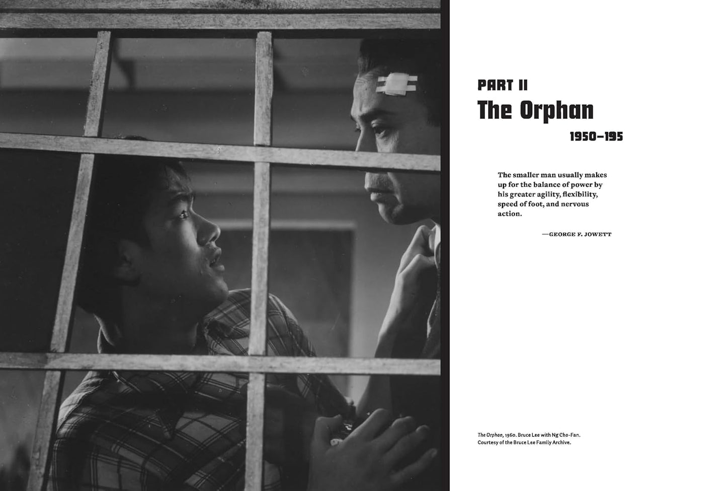 Water Mirror Echo: Bruce Lee and the Making of Asian America
