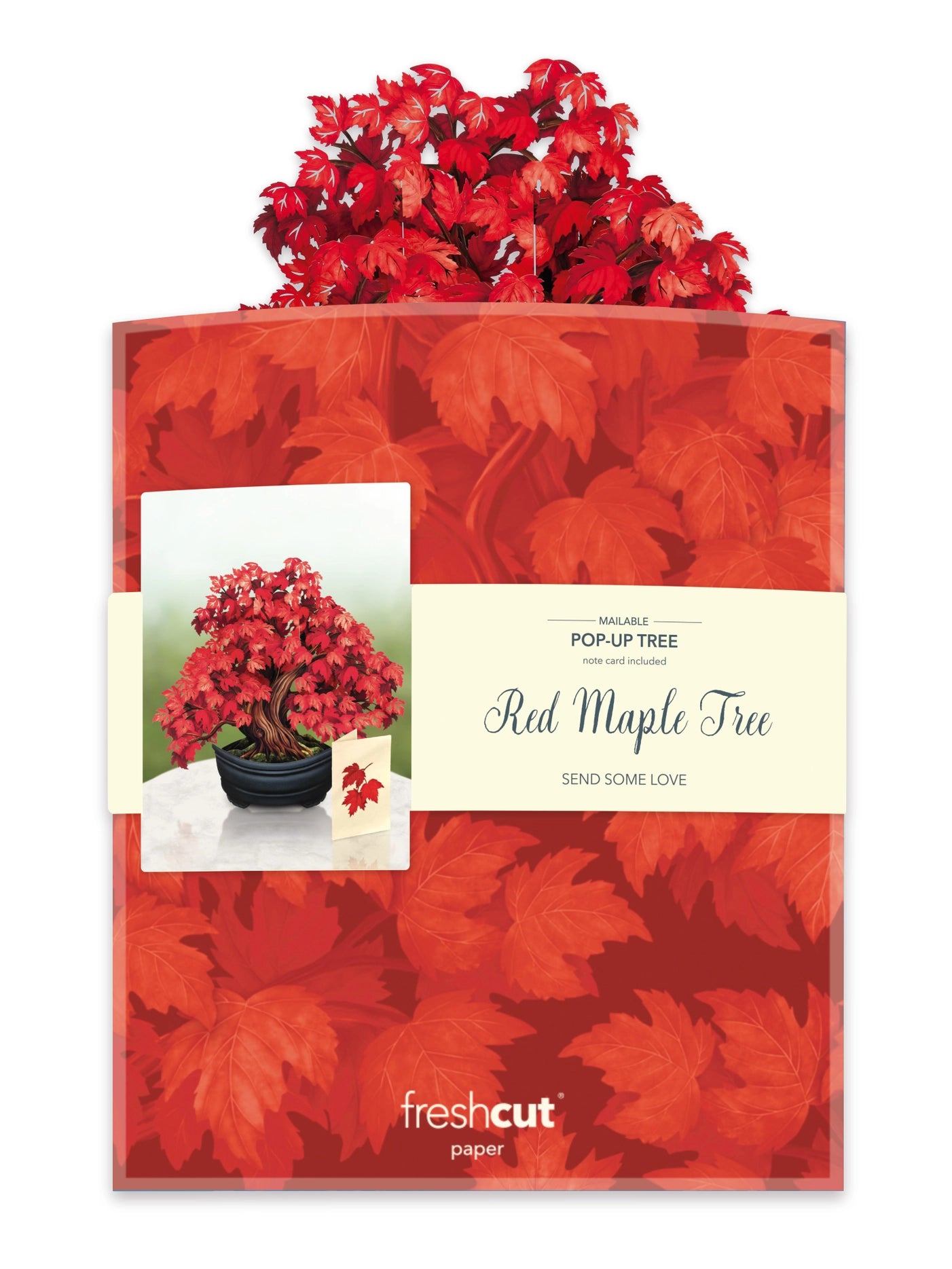 Red Maple Tree Pop-Up Greeting Card