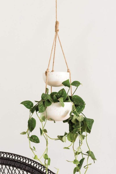 Hanging Pots