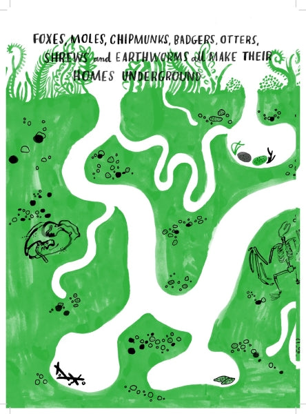 Hello Nature Activity Book