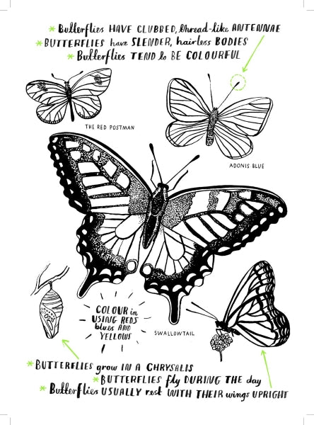 Hello Nature Activity Book