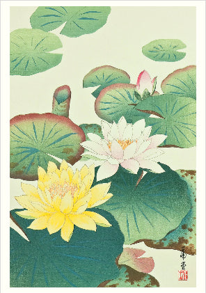 Haiku Japanese Art Boxed Notecards