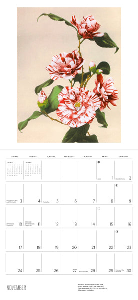 2024 Calendar: Language of Light