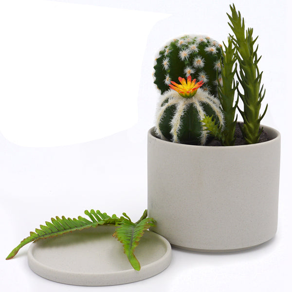Plant Pot