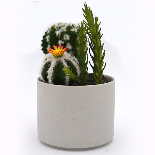 Plant Pot
