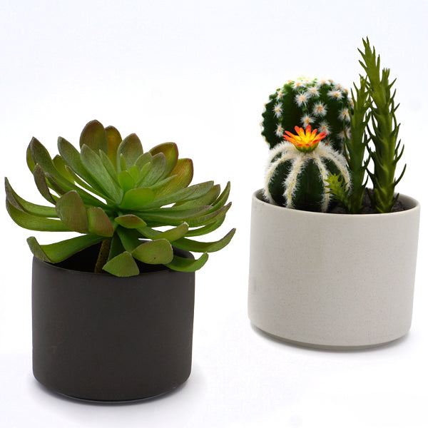 Plant Pot