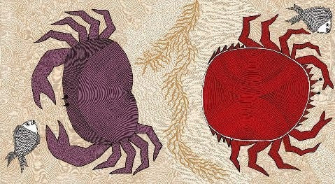 Waterlife Handmade Notecards