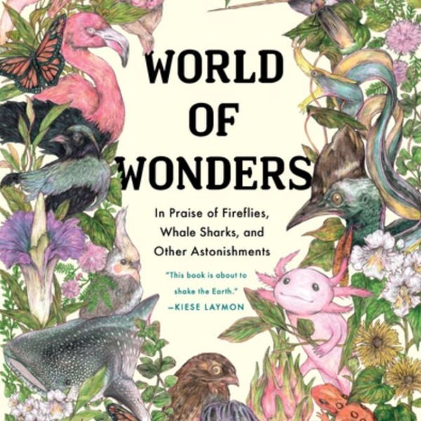 World of Wonders