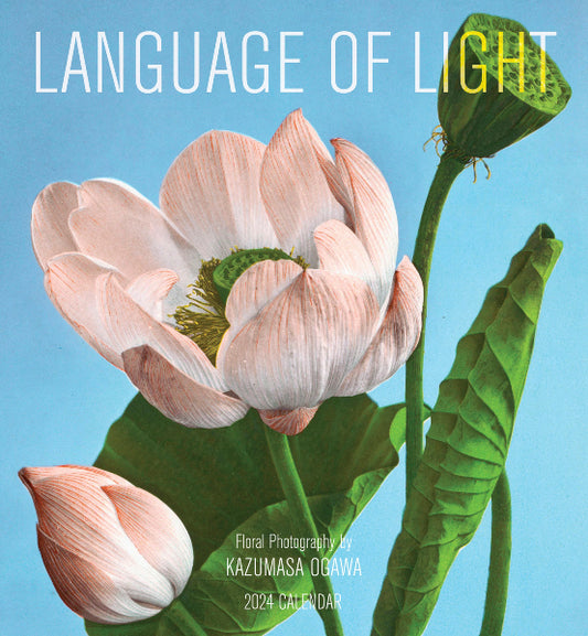 2024 Calendar: Language of Light