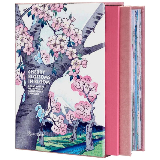 Cherry Blossoms In Bloom