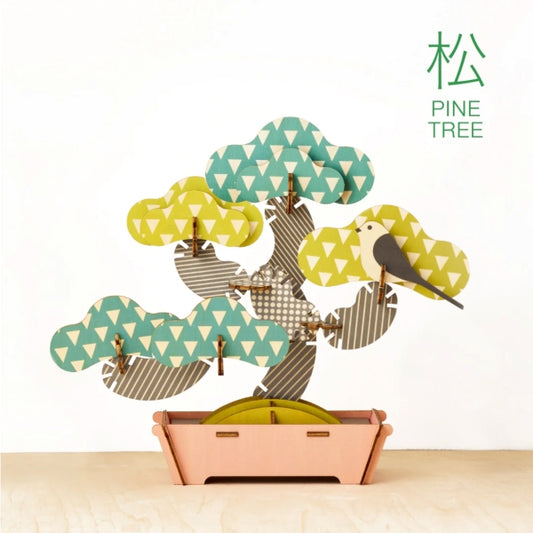 Bonsai Puzzle Pine Matsu