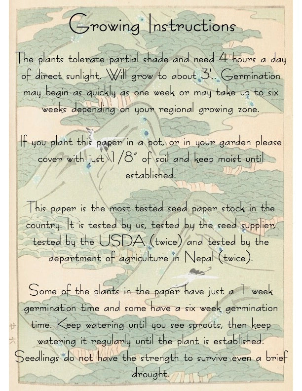 Indigo Floral Plantable Seed Card