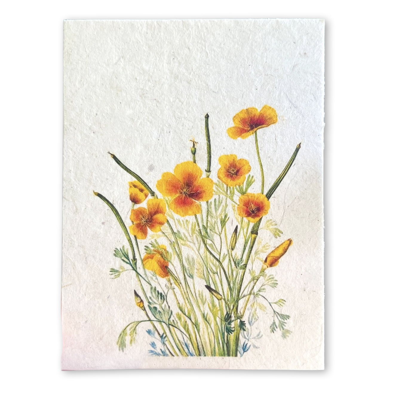 Poppies Plantable Seed Card