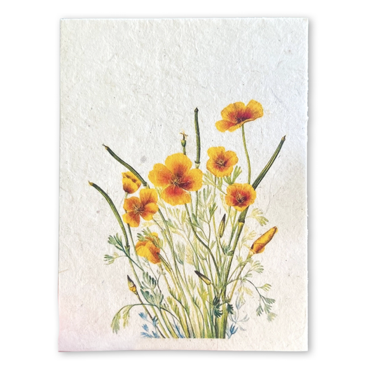 Poppies Plantable Seed Card