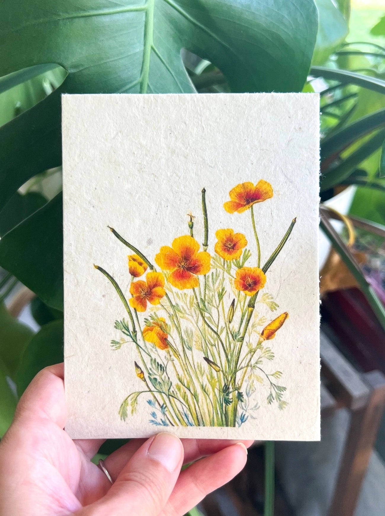Poppies Plantable Seed Card