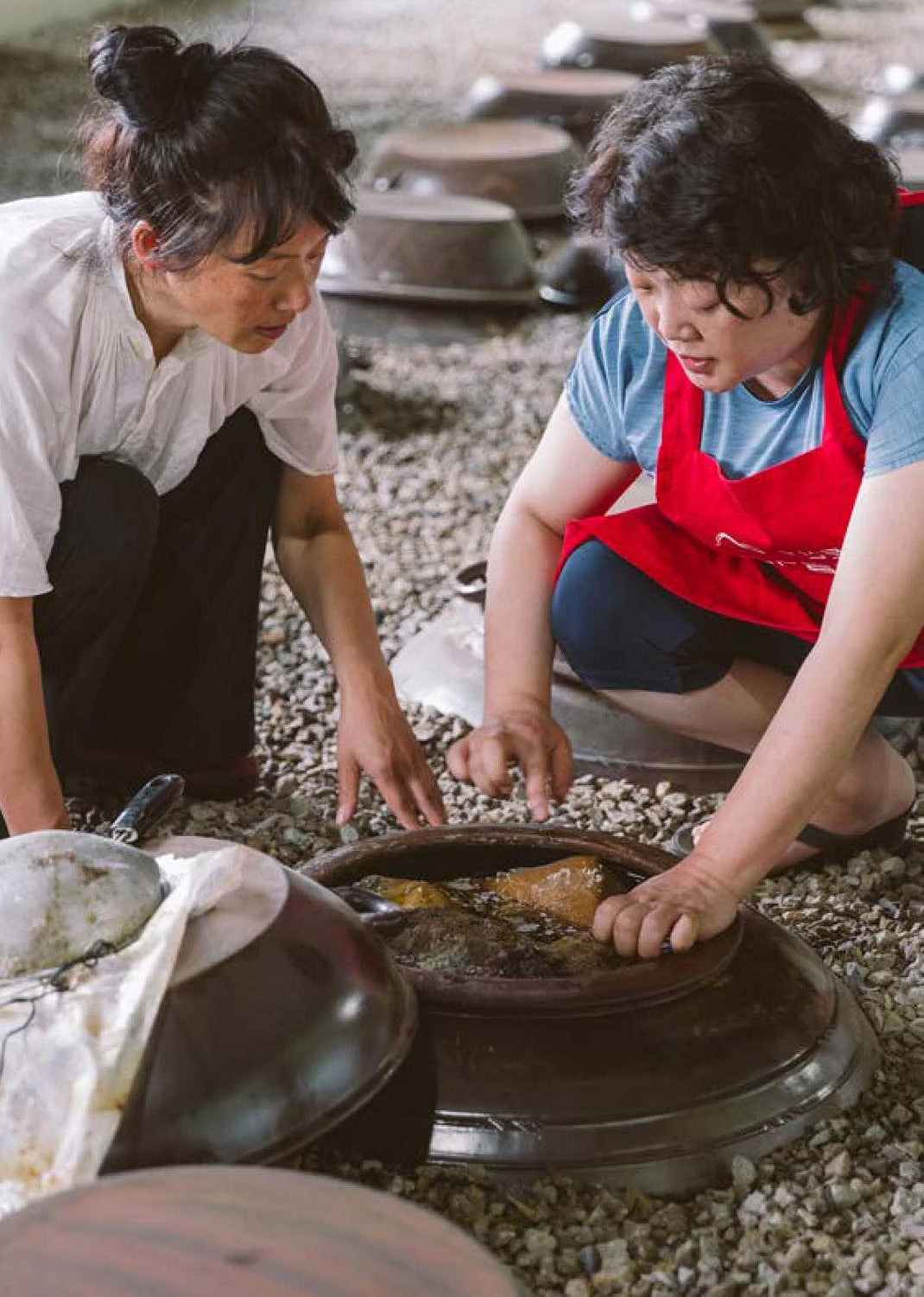 Taste Korea: Korean Recipes With Local Ingredients