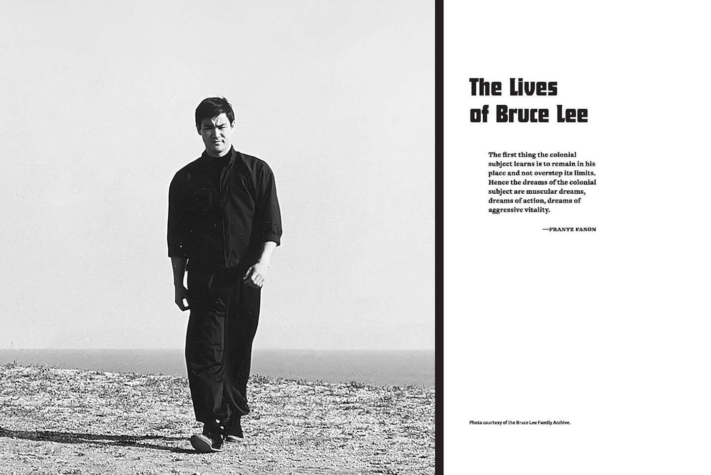 Water Mirror Echo: Bruce Lee and the Making of Asian America