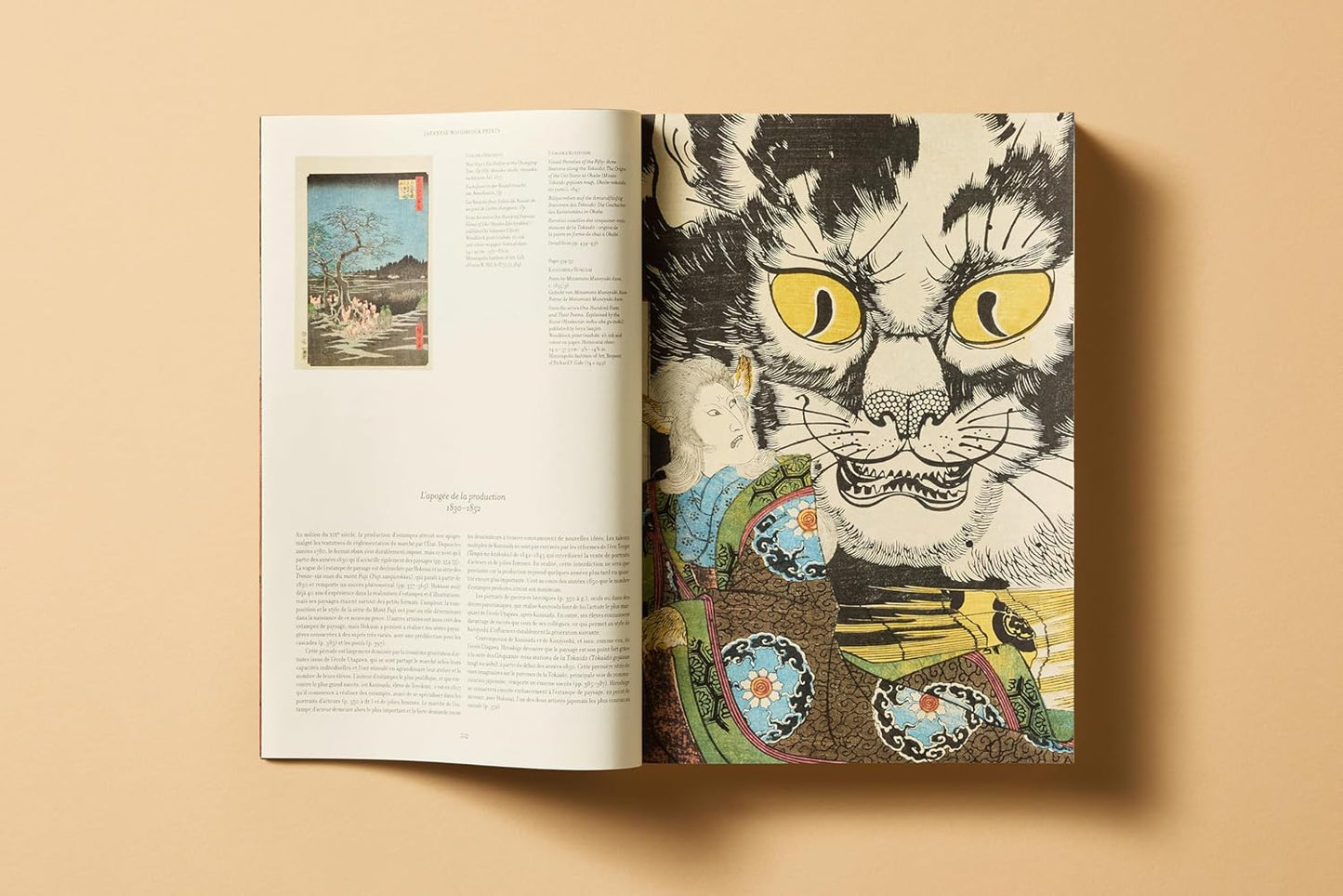 Japanese Woodblock Prints