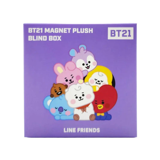 BT21 Magnet Blind Box