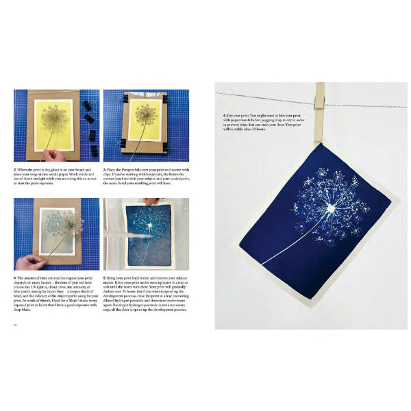 Cyanotype: Learn in a Weekend