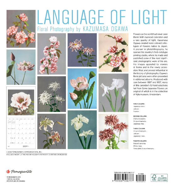2024 Calendar: Language of Light