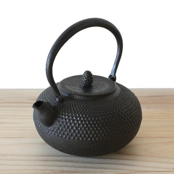 Oigen Kurikuchi Iron Tea Kettle